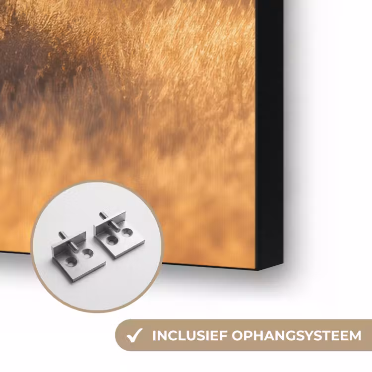 Art Frame - Zebra's - Savannelandschap - Gras — 6
