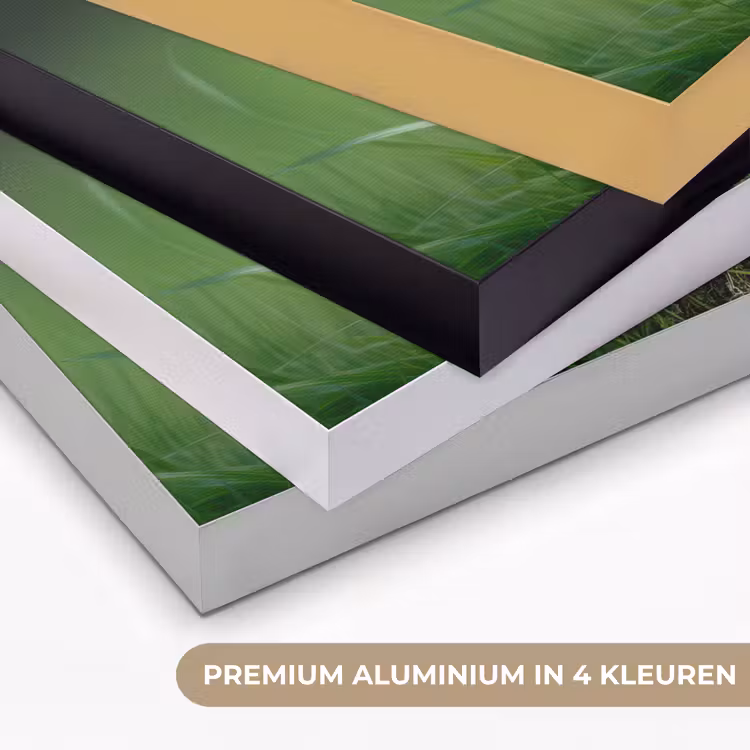 Art Frame - Kuiken - Eend - Geel - Gras — 2