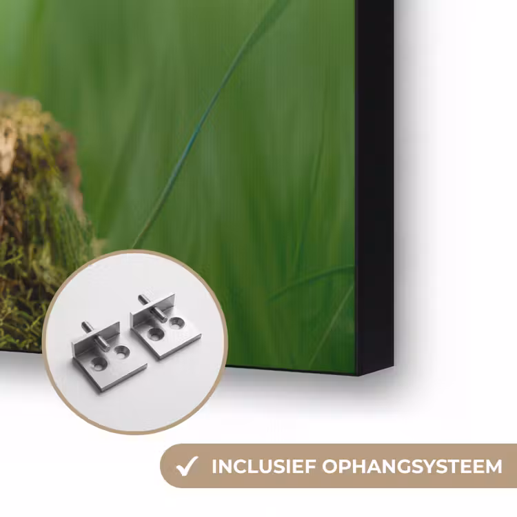 Art Frame - Kuiken - Eend - Geel - Gras — 6