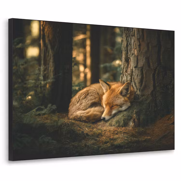 Art Frame - Vos - Bos - Slapen — 1