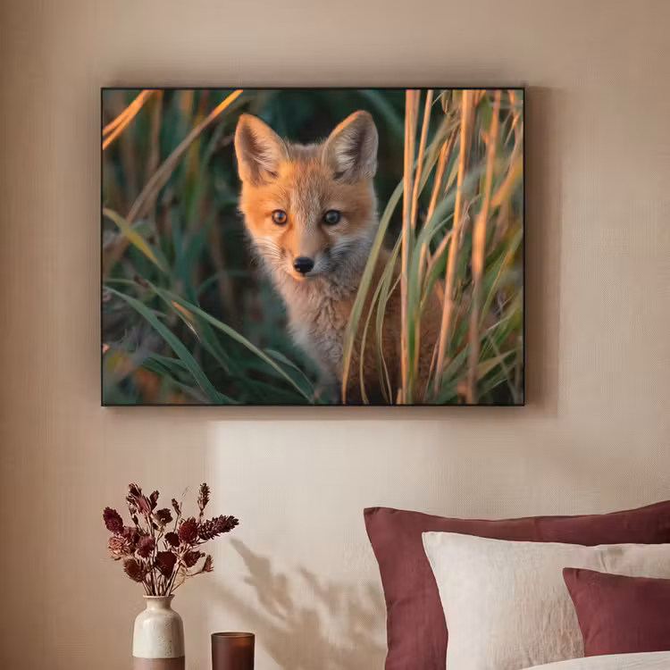 Art Frame - Vos - Oranje - Gras — 3