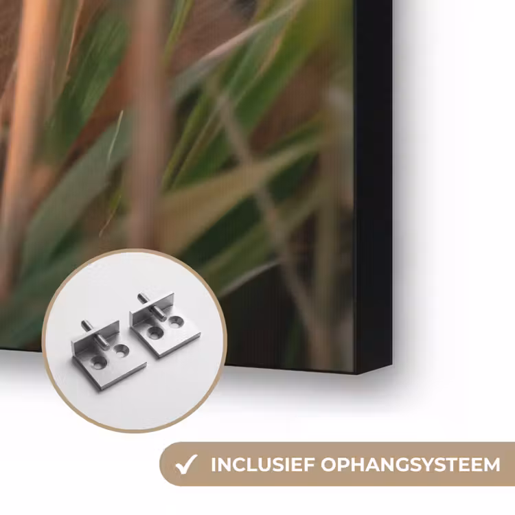 Art Frame - Vos - Oranje - Gras — 6