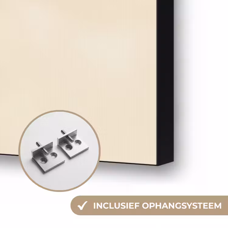 Art Frame - Minimalistisch - Tak - Bladeren - Zwart — 6