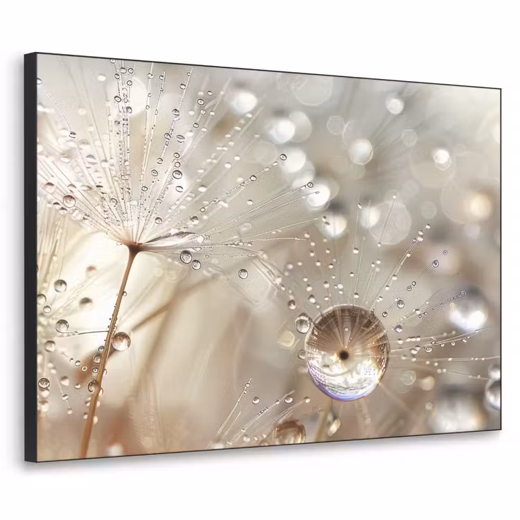 Art Frame - Natuur - Bloemen - Druppels - Regen — 1