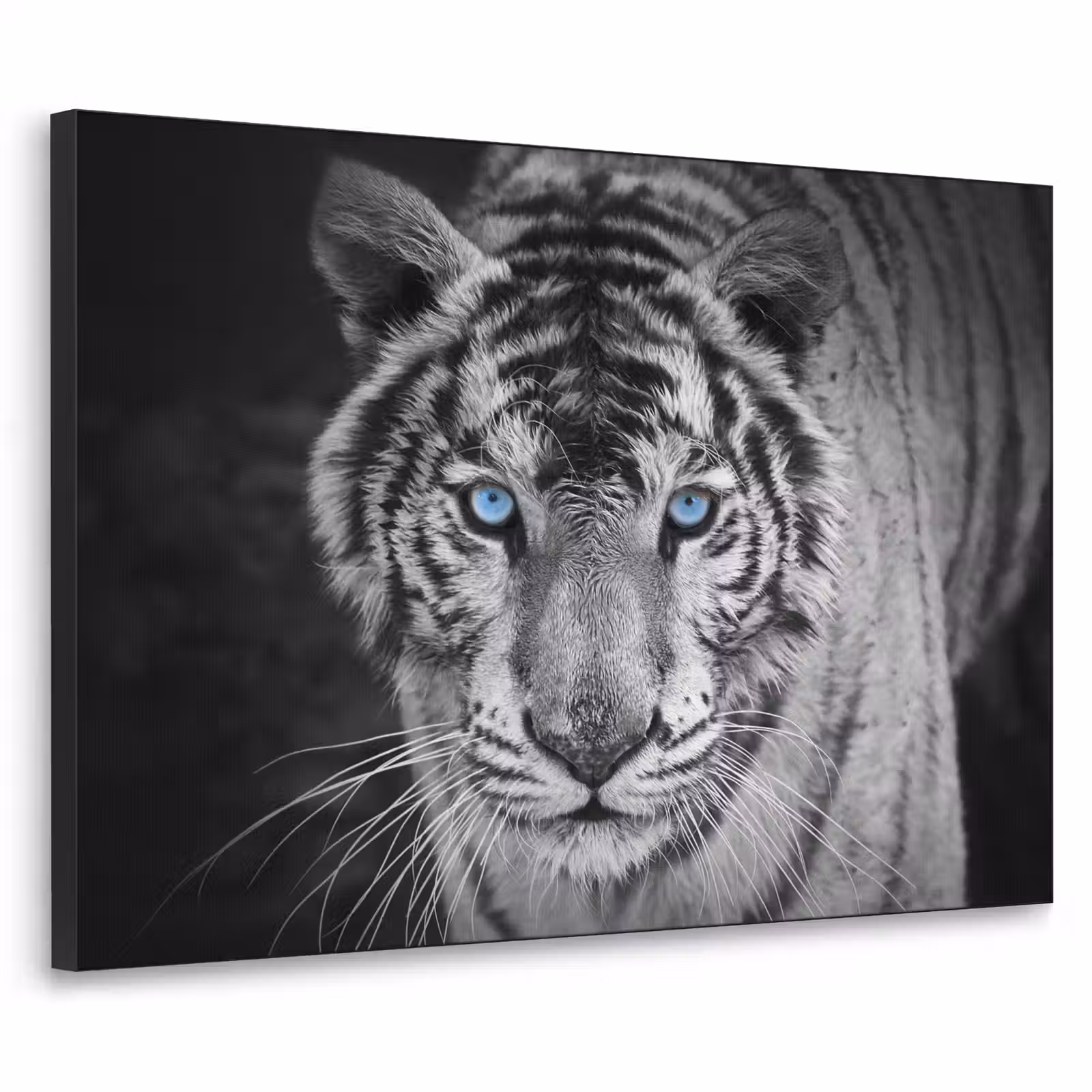 Art Frame - Tijger - Dier - Zwart - Blauw - Modern — 1
