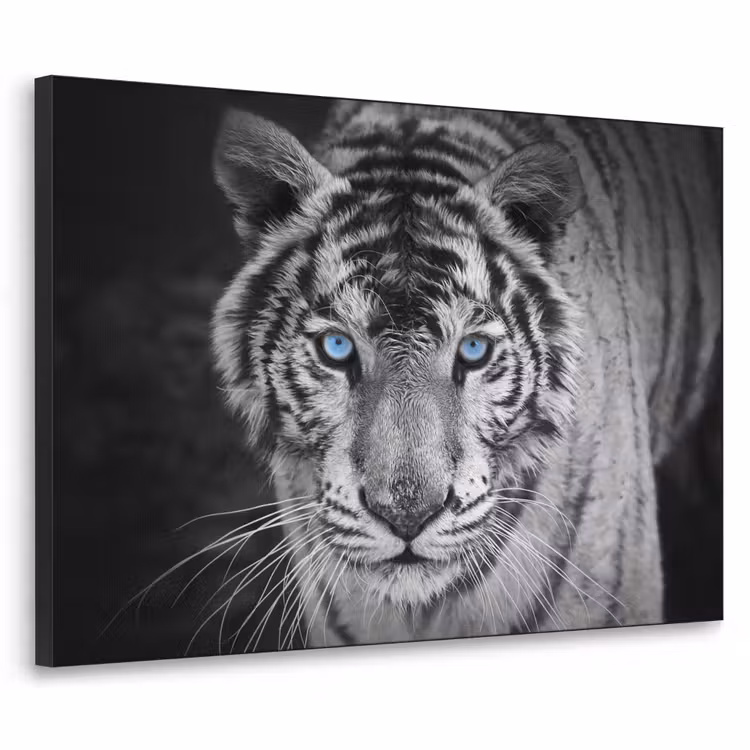 Art Frame - Tijger - Dier - Zwart - Blauw - Modern — 1