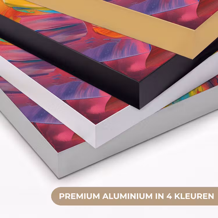 Art Frame - Bloem - Verflook - Modern - Abstract - Kleuren — 2