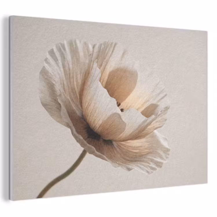 Akoestisch schilderij - Bloem - Beige - Crème