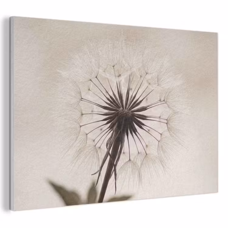 Akoestisch schilderij - Paardenbloem - Minimalistisch - Wit