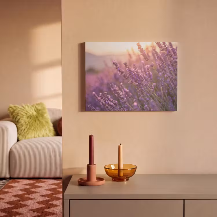Akoestisch schilderij - Lavendel - Paars - Zonlicht — 2