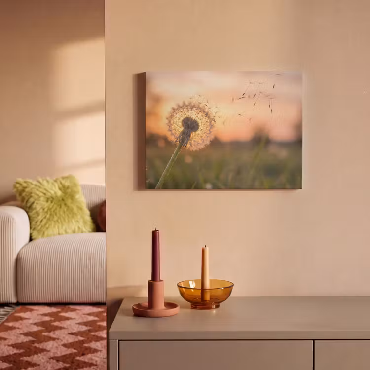Akoestisch schilderij - Paardenbloem - Zonsondergang - Veld — 2