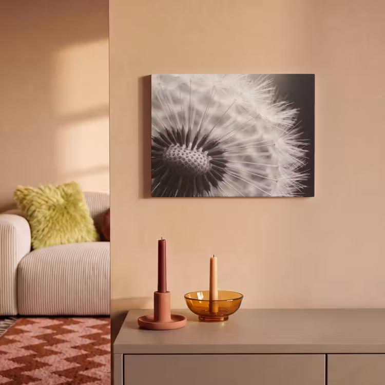 Akoestisch schilderij - Paardenbloem - Zwart - Wit — 2