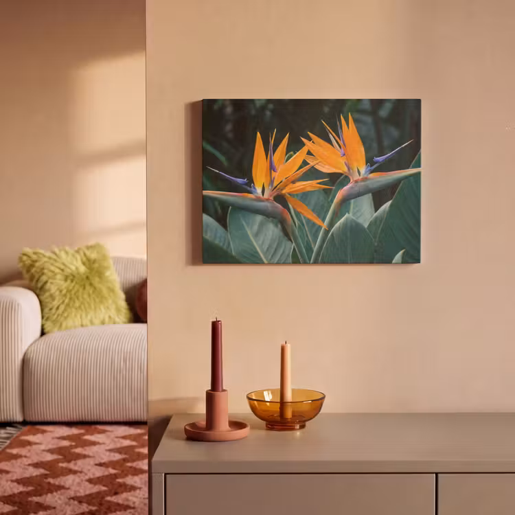 Akoestisch schilderij - Paradijsvogel - Bloem - Exotisch — 2