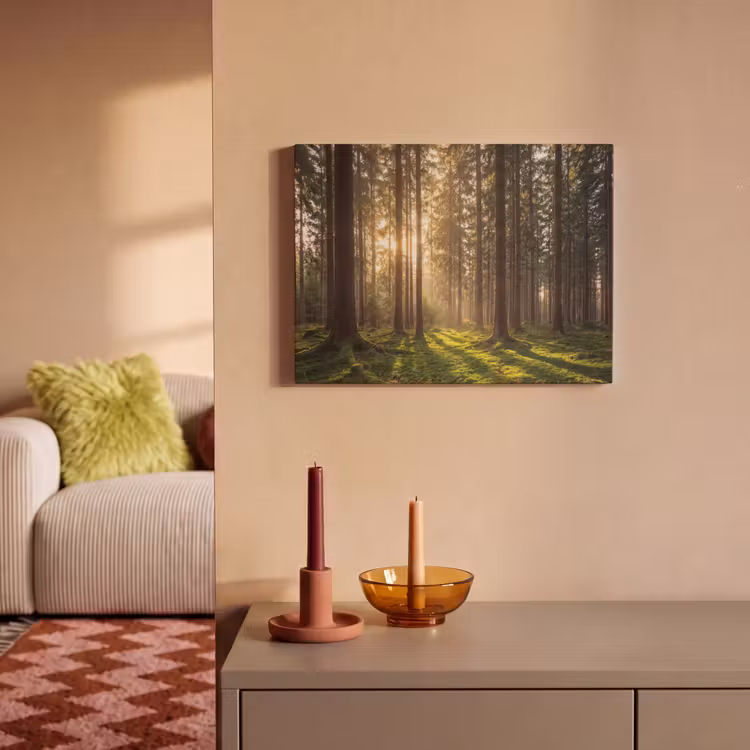 Akoestisch schilderij - Bos - Gras - Zonlicht — 2
