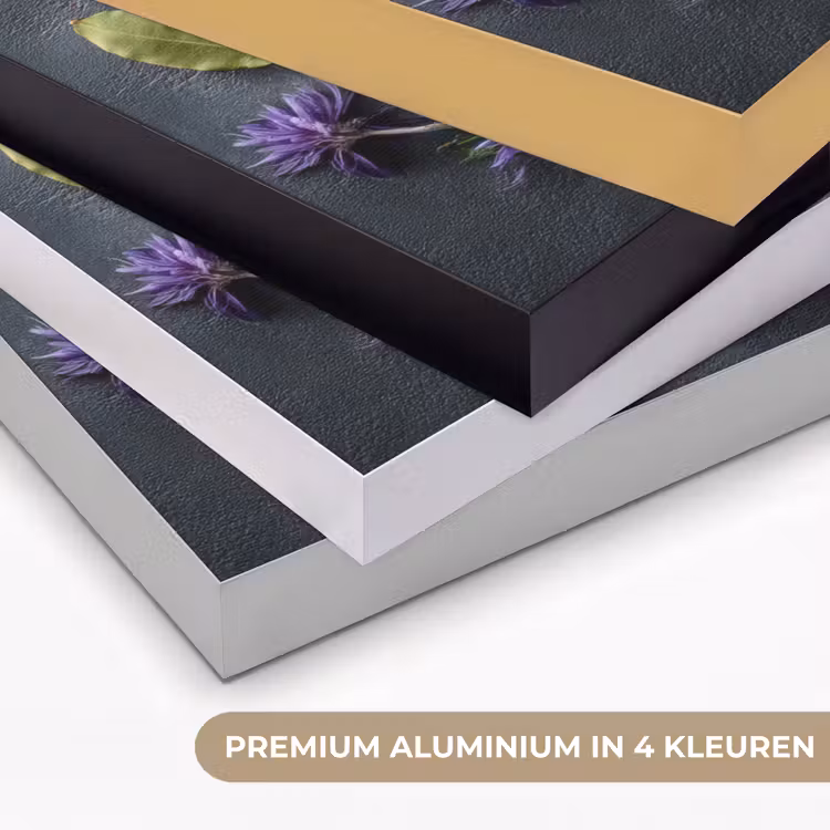 Art Frame - Lepels - Wit - Poeder - Kruiden — 2