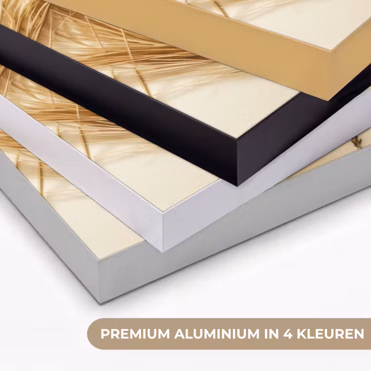 Art Frame - Granen - Hout - Kom - Beige — 2
