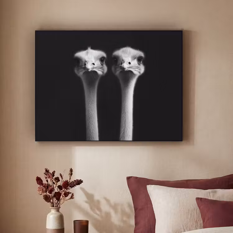 Art Frame - Struisvogels - Halzen - Zwart - Minimalistisch — 3