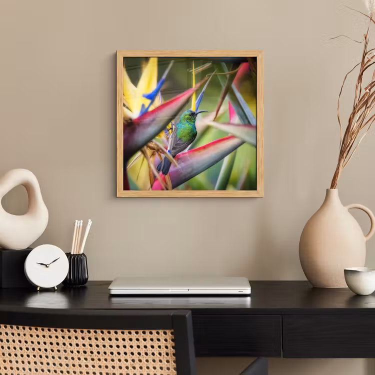 Poster met lijst - Kleurrijke vogel tussen allemaal kleurrijke platen — 2