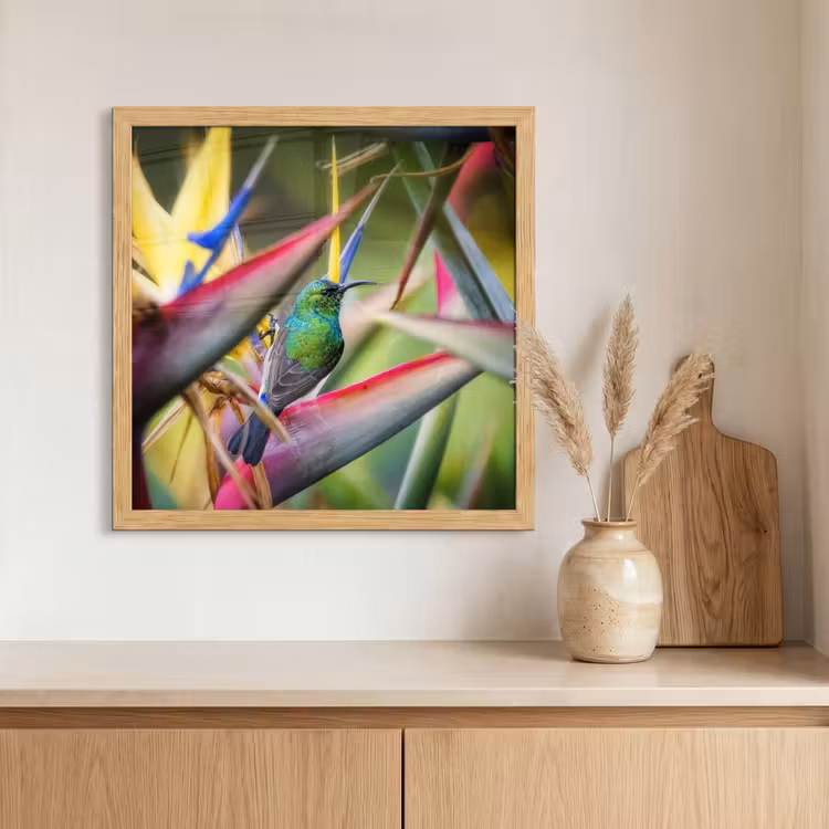 Poster met lijst - Kleurrijke vogel tussen allemaal kleurrijke platen — 3