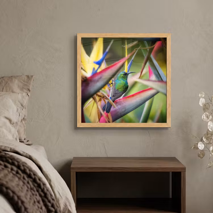 Poster met lijst - Kleurrijke vogel tussen allemaal kleurrijke platen — 4