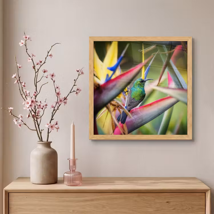 Poster met lijst - Kleurrijke vogel tussen allemaal kleurrijke platen — 5