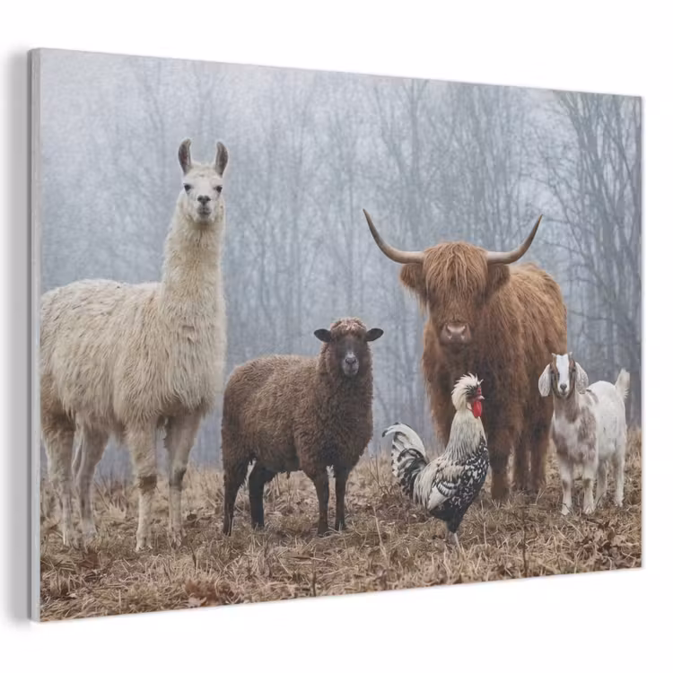 Akoestisch schilderij - Boerderijdieren - Groep - Mist - Natuur - Rustiek