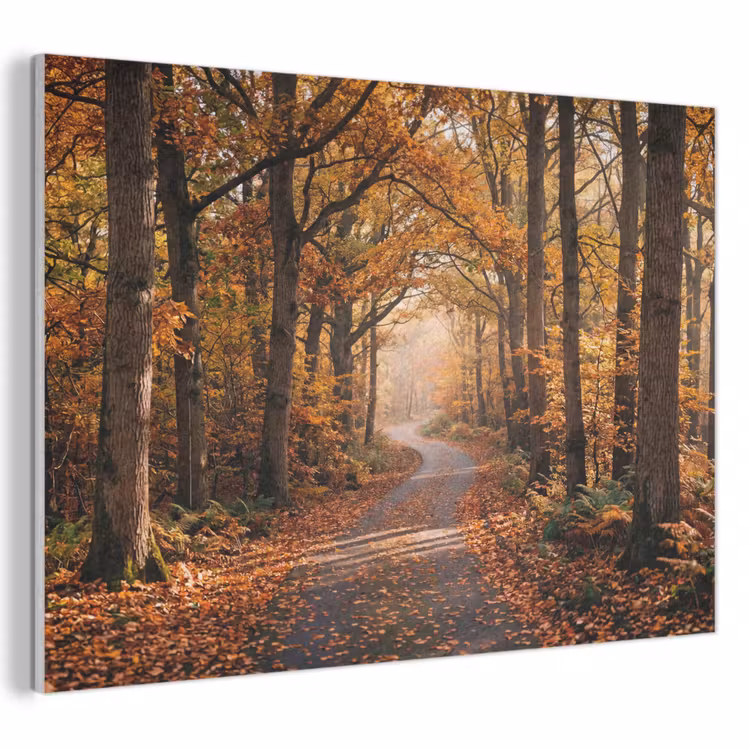 Akoestisch schilderij - Bospad - Herfstbos - Bladeren - Oranje - Nostalgisch