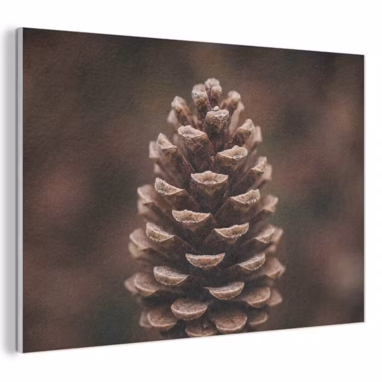 Akoestisch schilderij - Dennenappel - Bos - Herfst - Bruin - Sfeervol