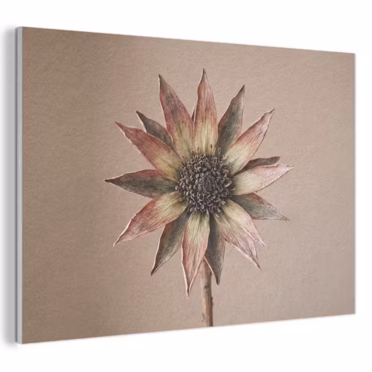 Akoestisch schilderij - Droogbloem - Protea - Vintage - Beige - Rustiek