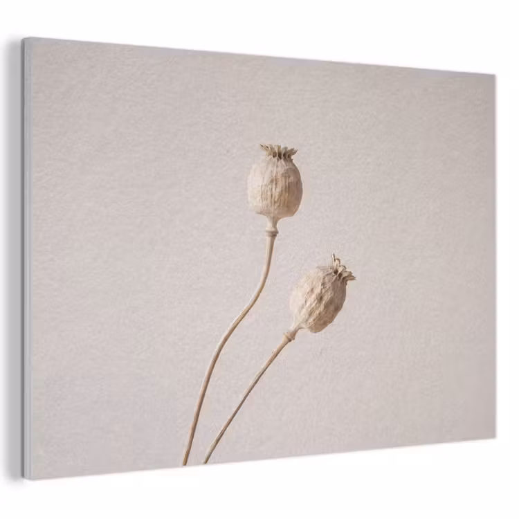 Akoestisch schilderij - Papaverbollen - Droogbloemen - Minimalistisch - Beige - Rustig
