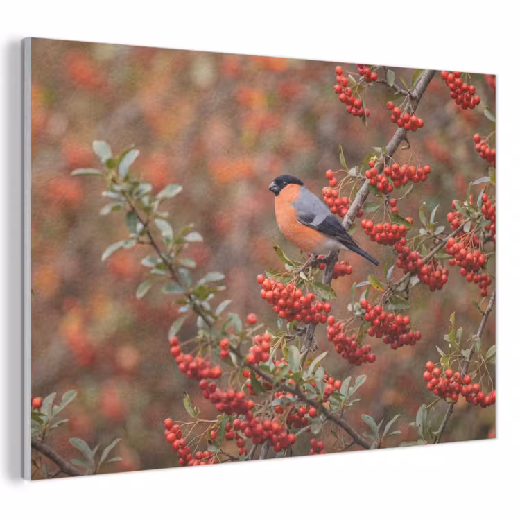 Akoestisch schilderij - Goudvink - Bessen - Herfst - Natuur - Kleurrijk