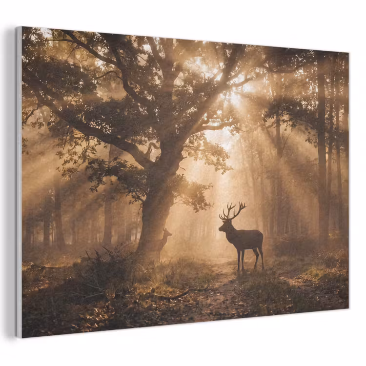 Akoestisch schilderij - Hert - Bos - Mistig - Natuur - Goud