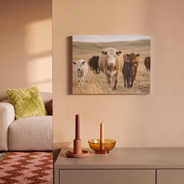 Akoestisch schilderij - Runderen - Kudde - Landschap - Weide - Rustig — 2