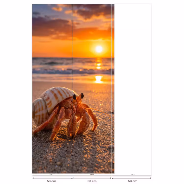 Behang - Kreeft - Strand - Natuur - Zonsondergang - Oranje β 6