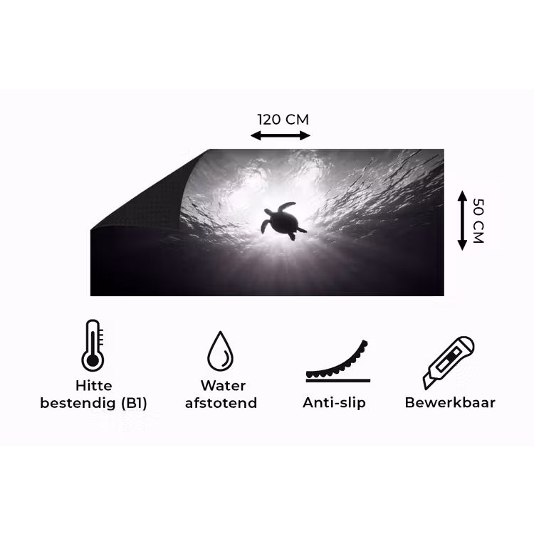 Keukenloper - Schildpad - Onderwater - Lichtstralen - Oceaan - Zwart-wit — 5