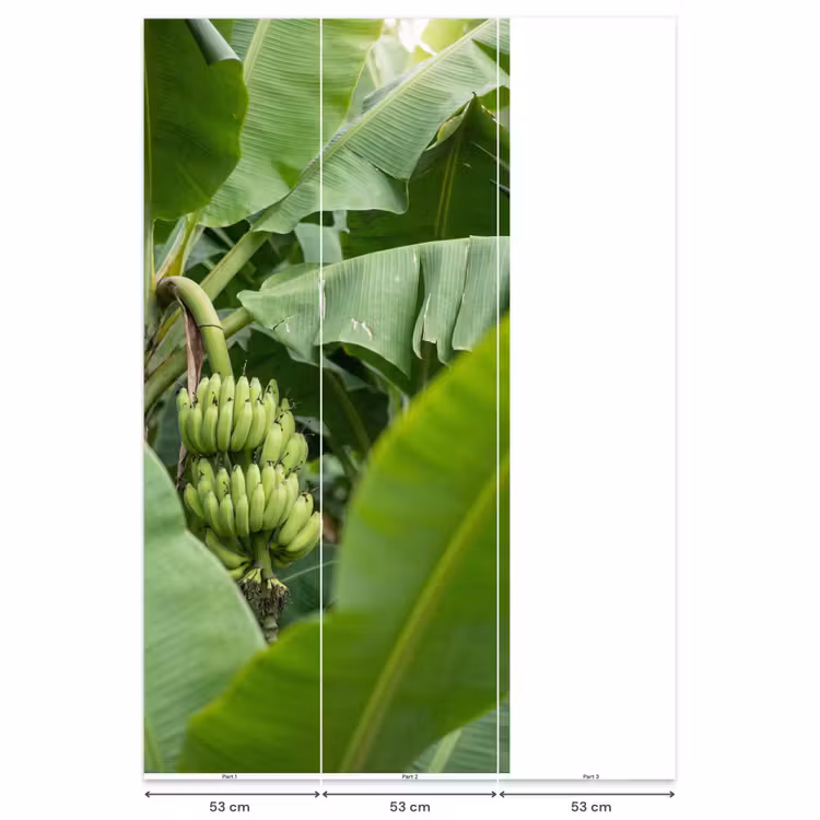 Behang - Eten - Bananen - Plantage - Groen — 6