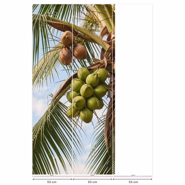 Behang - Kokosnoot - Boom - Tropisch - Natuur - Groen — 6