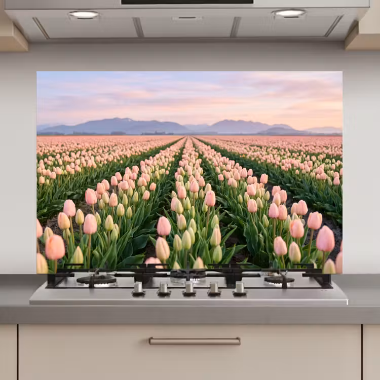 Spatscherm keuken - Tulpen - Landschap - Roze — 1