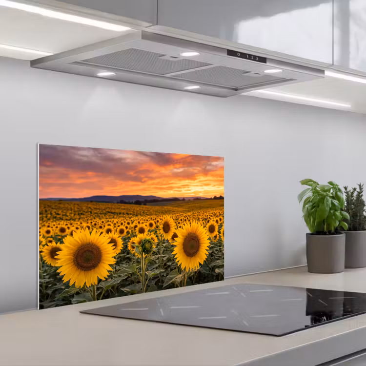 Spatscherm keuken - Zonnebloemen - Heuvellandschap - Geel — 5
