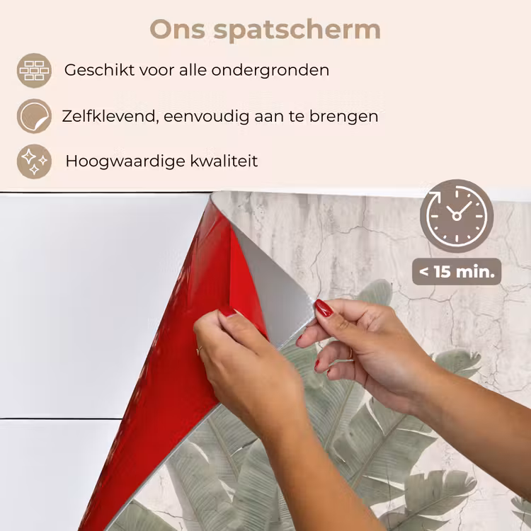 Spatscherm keuken - Bananenbladeren - Beton - Groen — 4