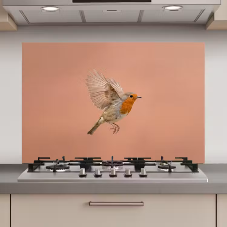 Spatscherm keuken - Roodborst - Natuur - Roze — 1