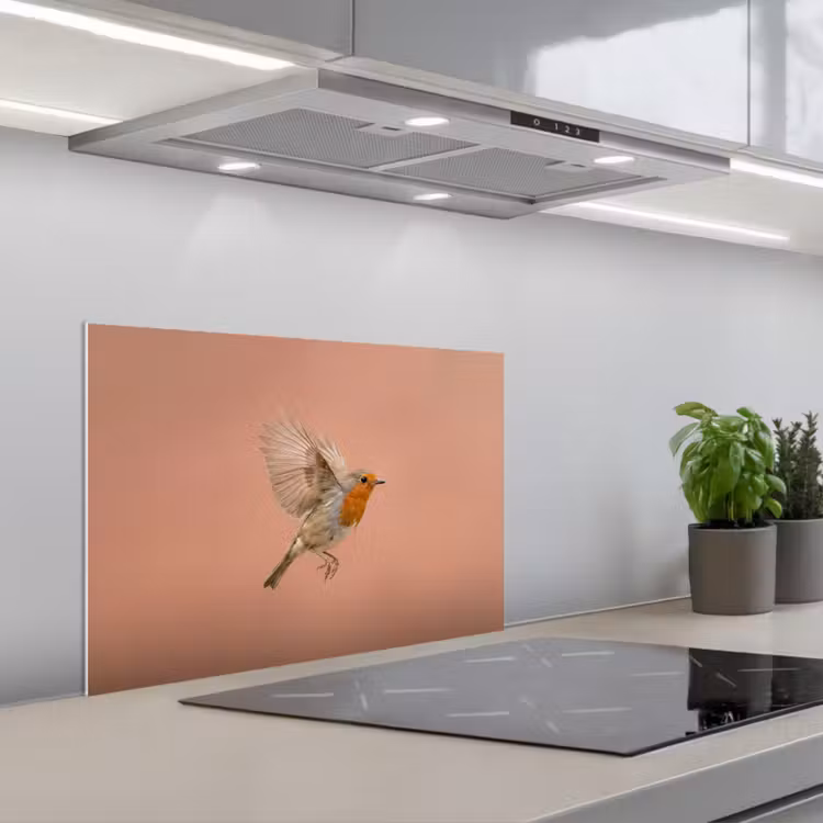 Spatscherm keuken - Roodborst - Natuur - Roze — 5