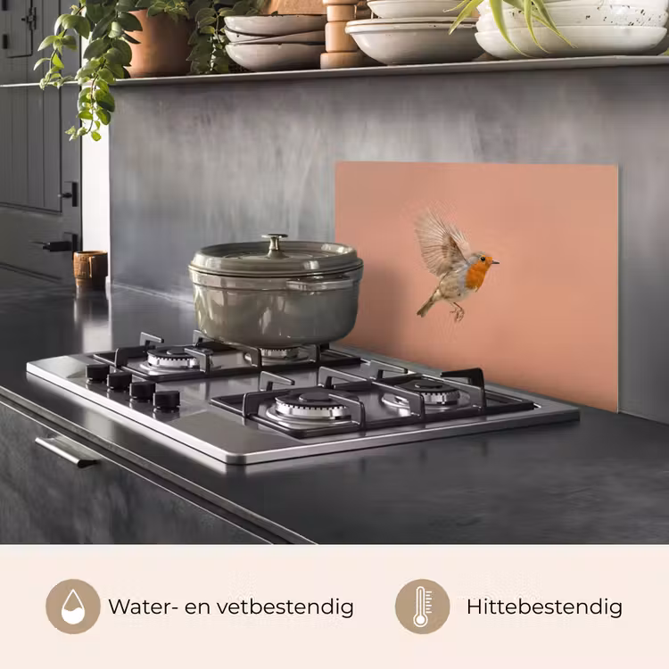 Spatscherm keuken - Roodborst - Natuur - Roze — 7