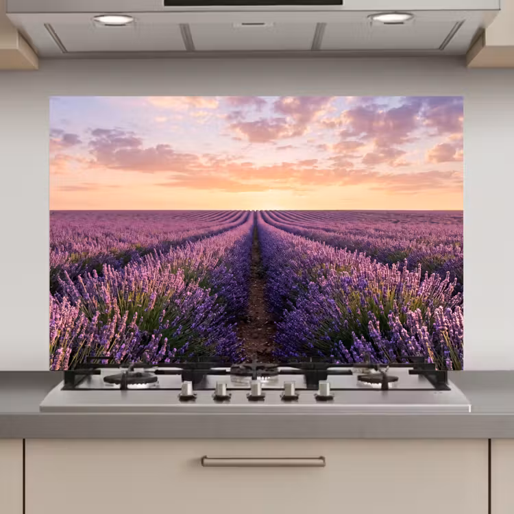 Spatscherm keuken - Landschap - Lavendelveld - Paars — 1