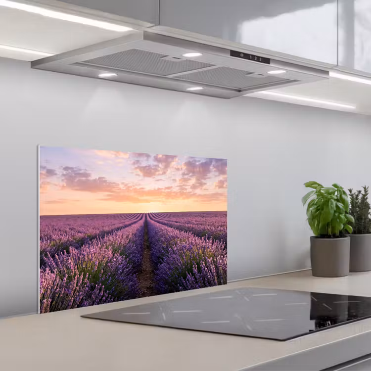 Spatscherm keuken - Landschap - Lavendelveld - Paars — 5