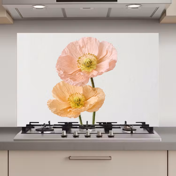 Spatscherm keuken - Papavers - Botanisch - Roze — 1