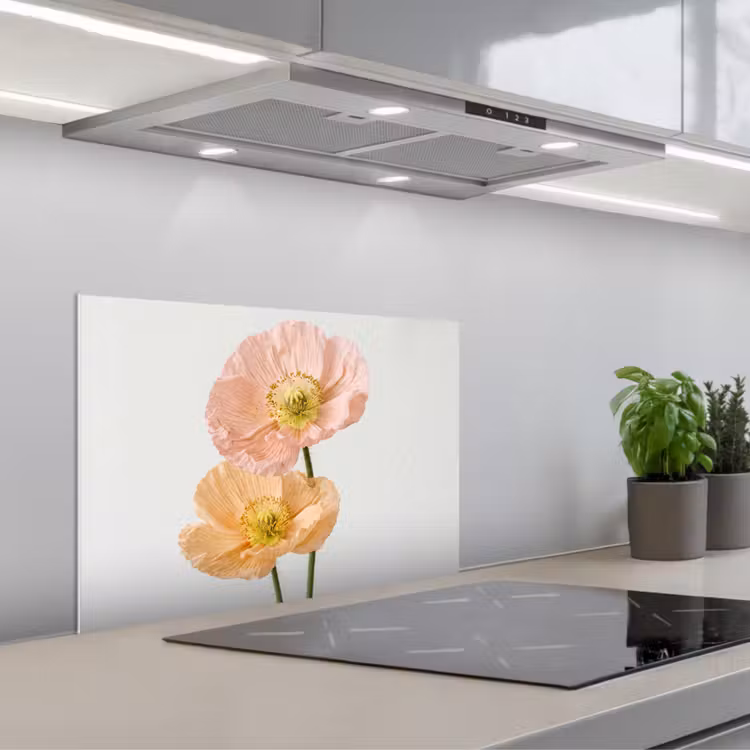 Spatscherm keuken - Papavers - Botanisch - Roze — 5