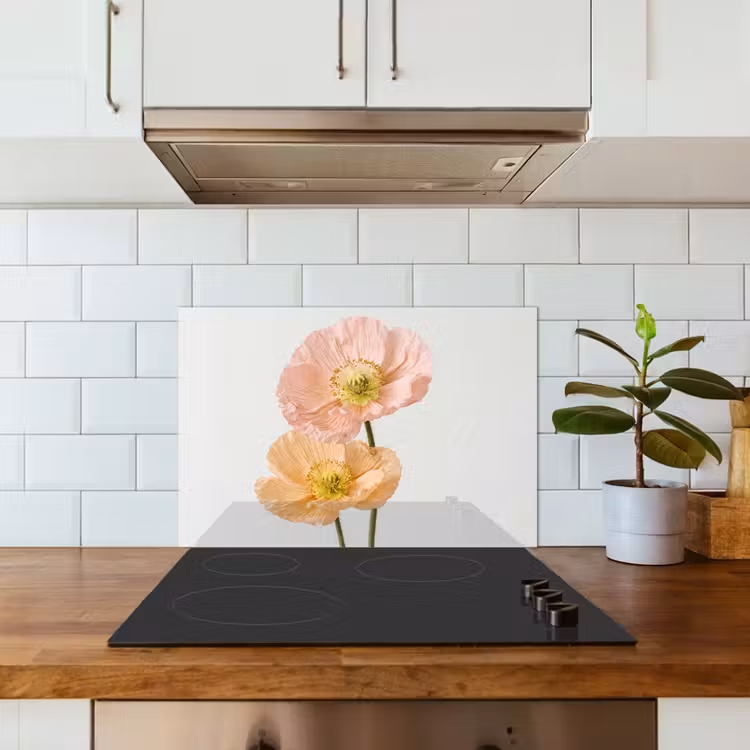Spatscherm keuken - Papavers - Botanisch - Roze — 6