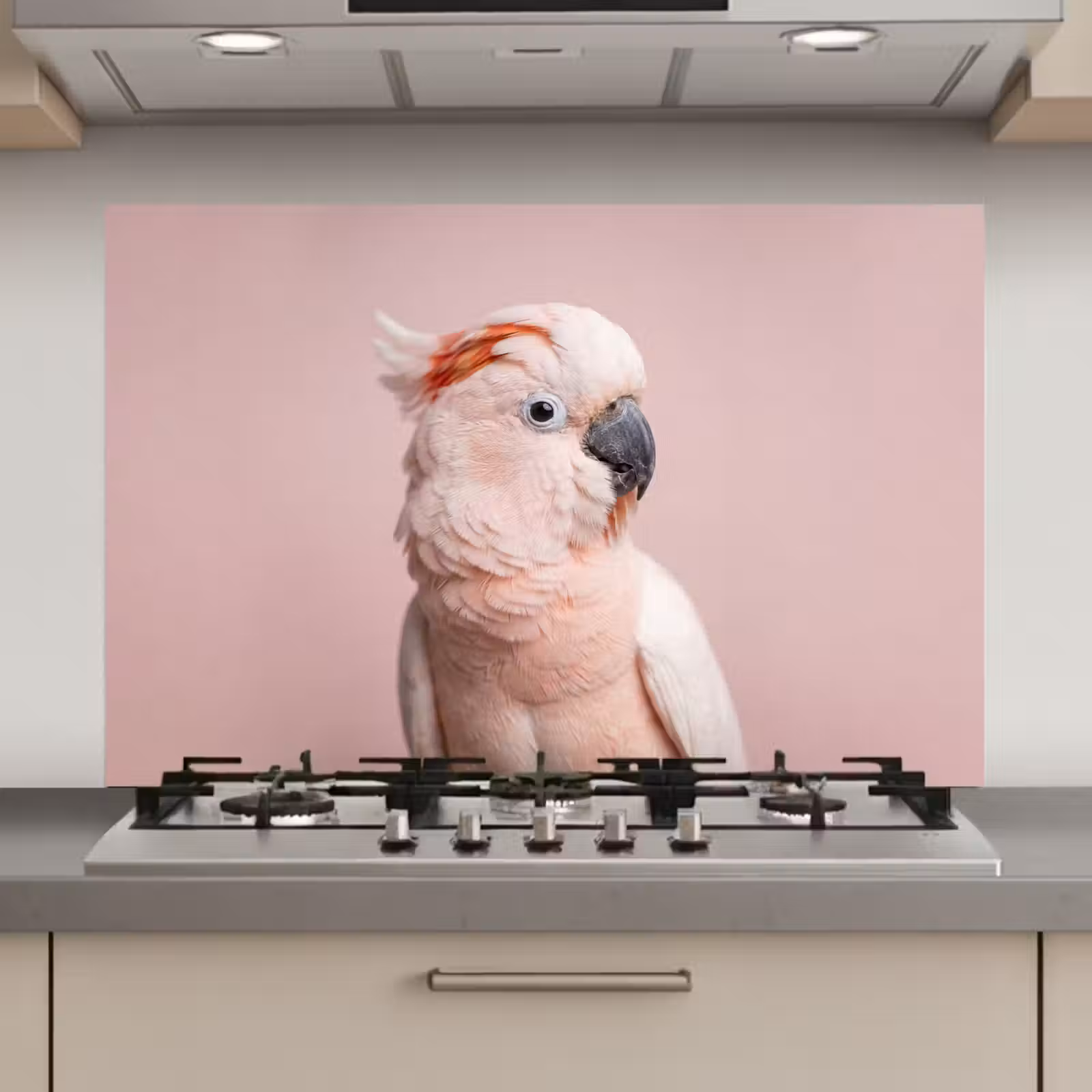 Spatscherm keuken - Kaketoe - Portret - Roze — 1