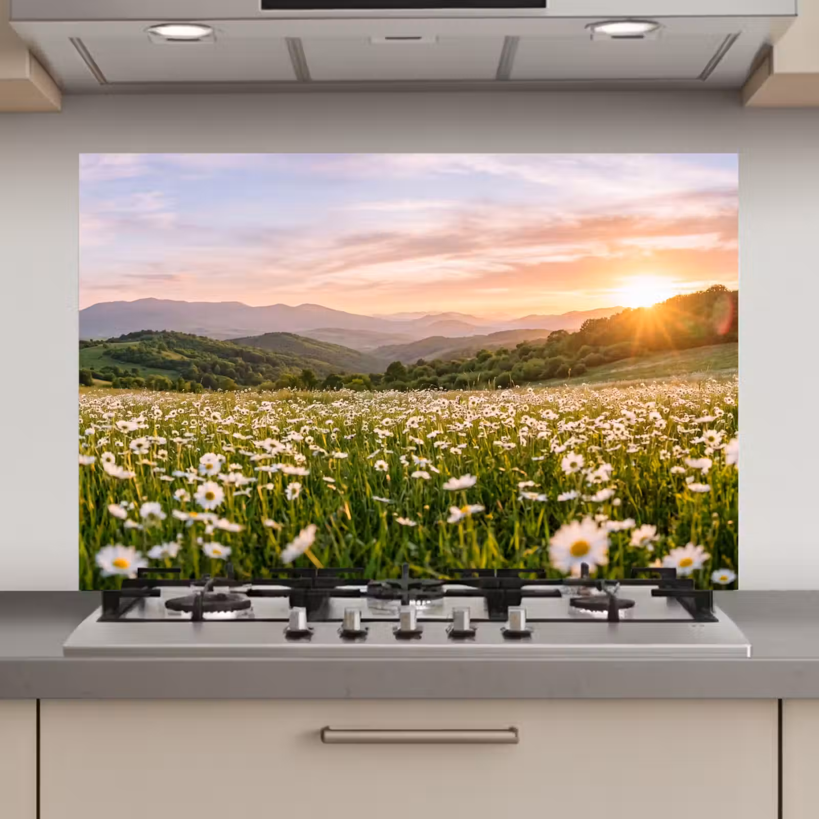 Spatscherm keuken - Madelief - Veld - Heuvels - Groen — 1